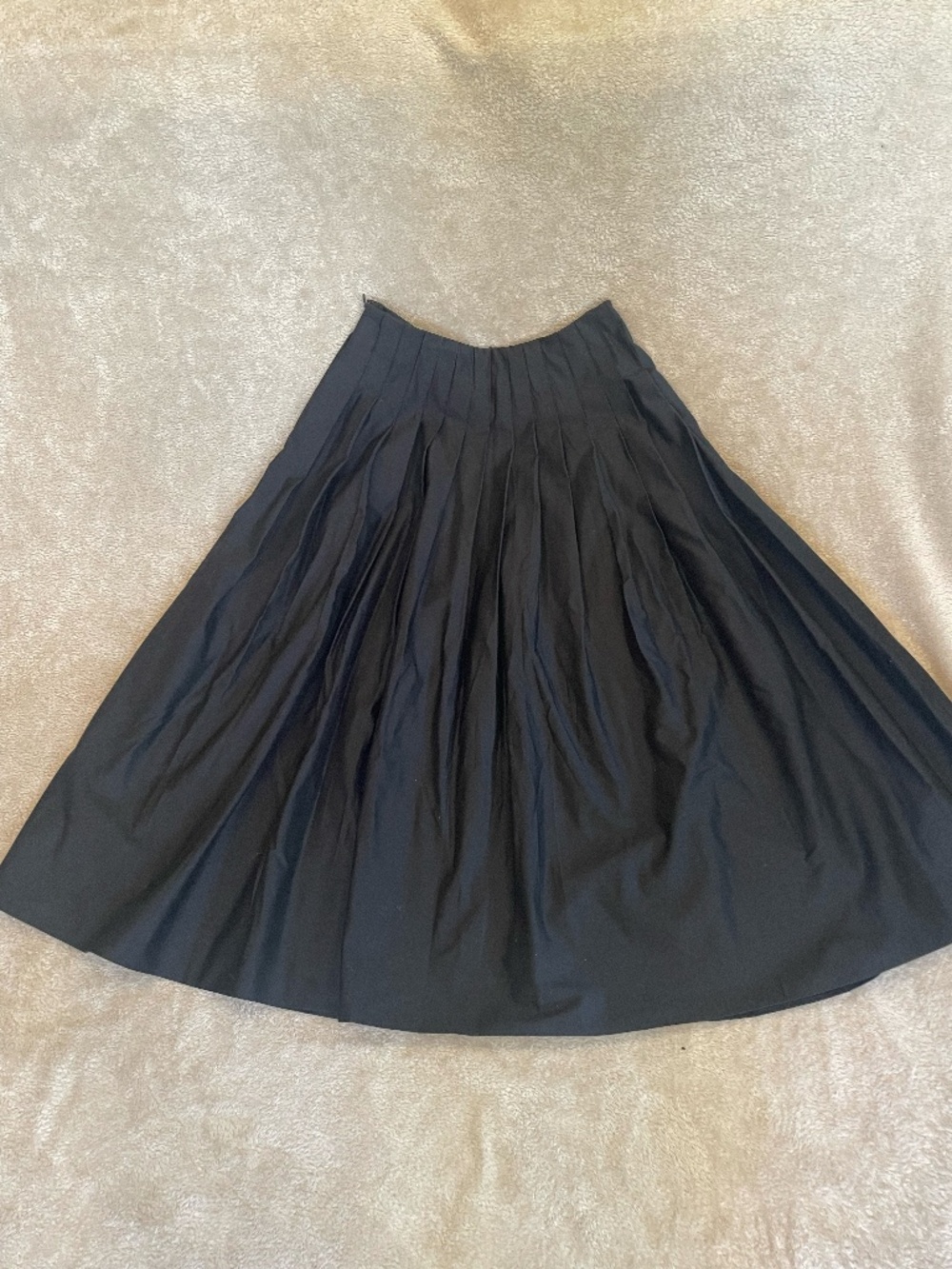 Black pleated skirt.  Size Small
